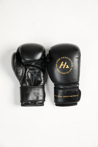 HA Boxing gloves