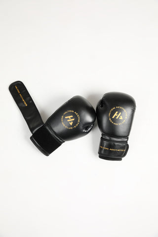 HA Boxing gloves