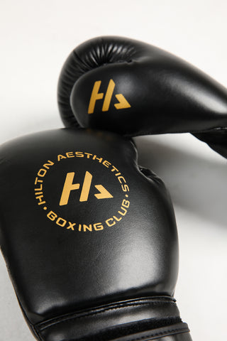 HA Boxing gloves